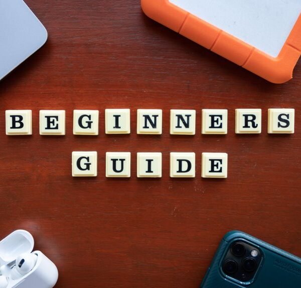 daylox website beginner guide